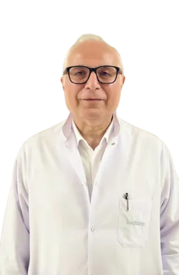 Prof. Dr. A. Levent Alpay